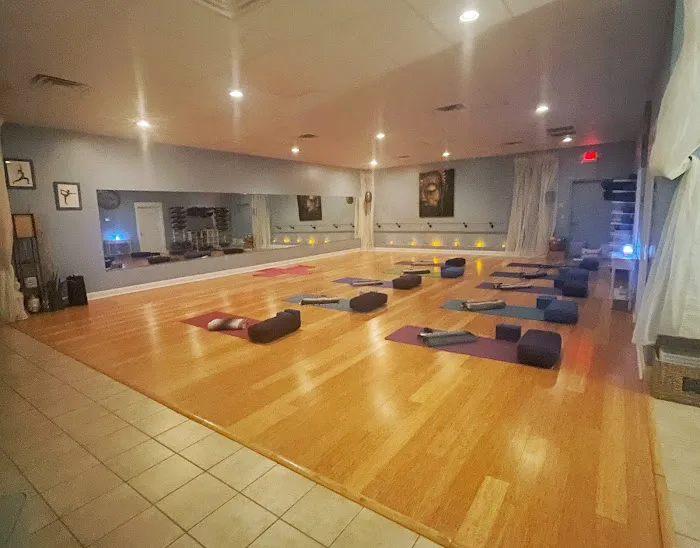 Zen Yoga and Wellness Picture 5