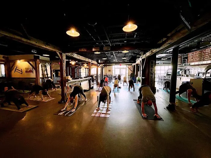 Zen Yoga and Wellness Picture 2