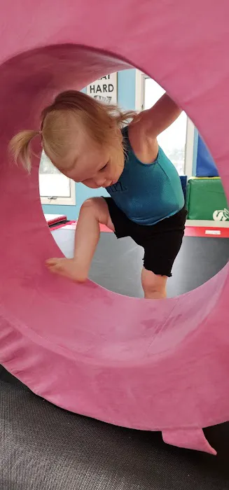 Flipz. The gym for kids. Picture 7
