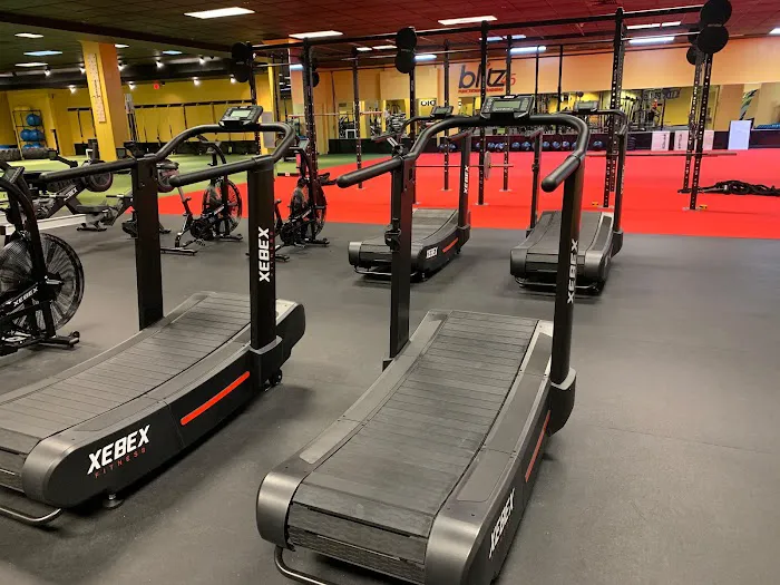 The Zoo Health Club Concord Picture 5