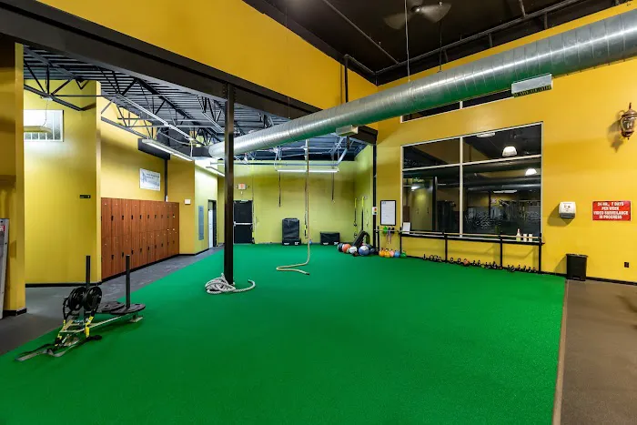 The Zoo Health Club, Bedford NH Picture 1