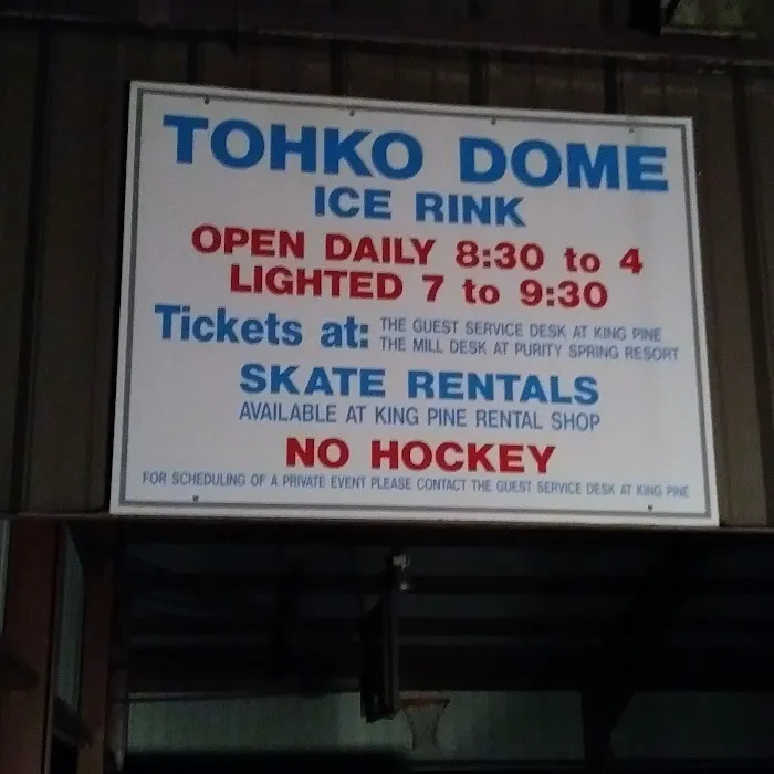 TOHKO DOME ICE SKATING RINK Picture 4