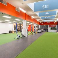 Parisi Speed School Powered by True Warrior Training ico