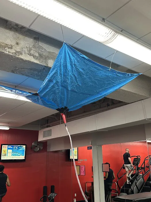New York Sports Club Picture 3