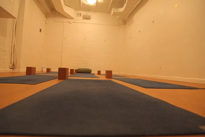 Yoga 216 Picture 6