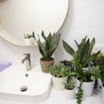 Selformer Pilates (Williamsburg)