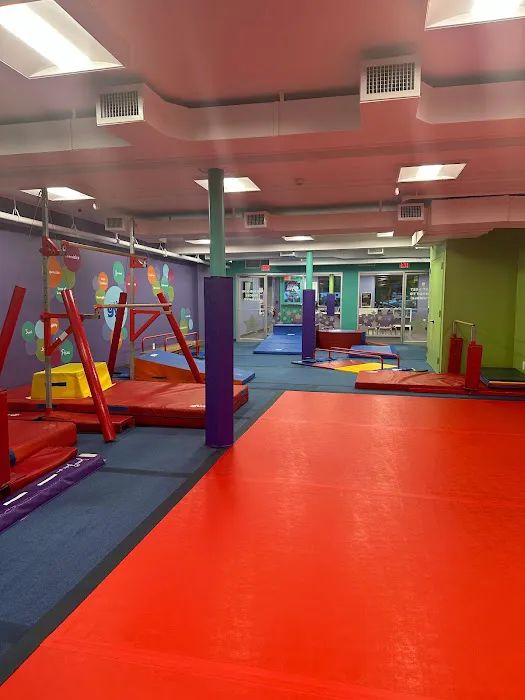 The Little Gym of Lynbrook Picture 4