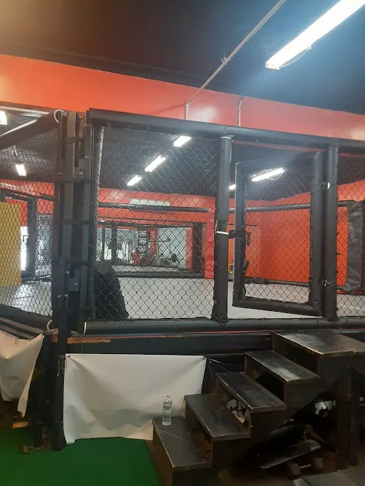 TKO Fitness MMA Club - formerly NY Ultimate Fit Zone Picture 8