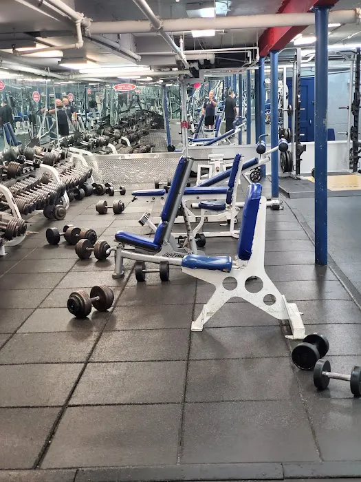 Synergy Fitness NY Picture 5