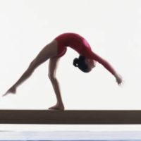 Cherry Lane Gymnastics Center ico