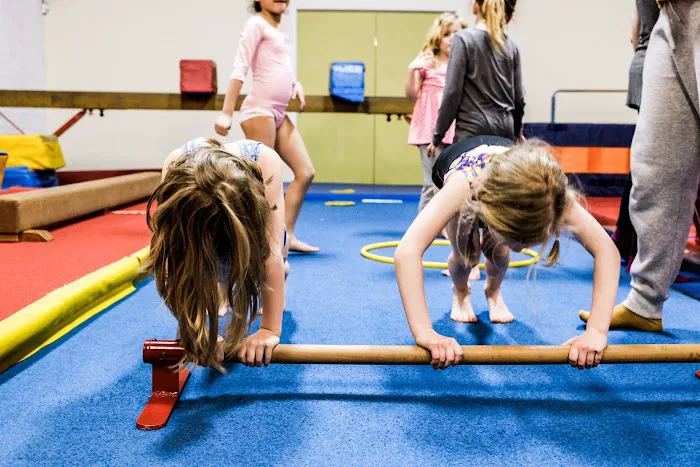 Ms J's Gymnastics & Dance Picture 3