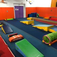 Ms J's Gymnastics & Dance ico