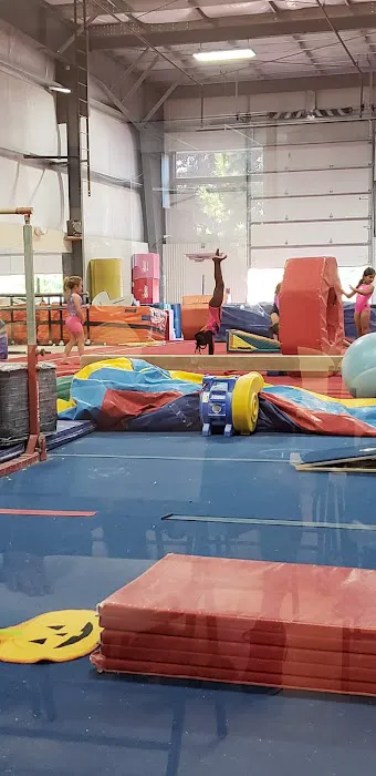 World Class Gymnastics Picture 2