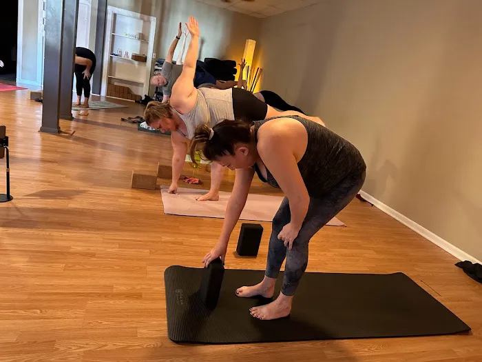 EssentialZen Yoga Studio Picture 9