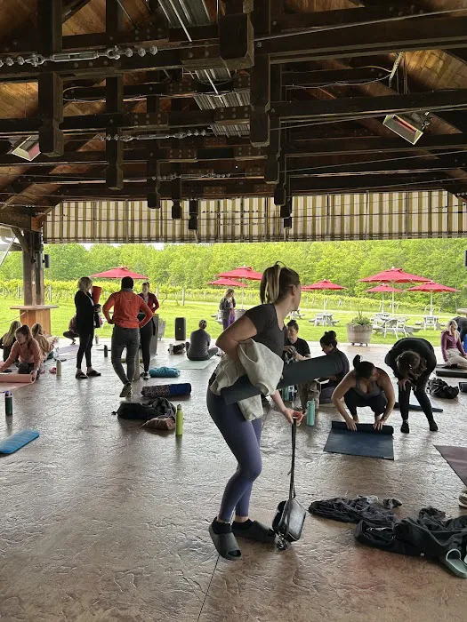 Yoga Lounge & Barre Picture 2