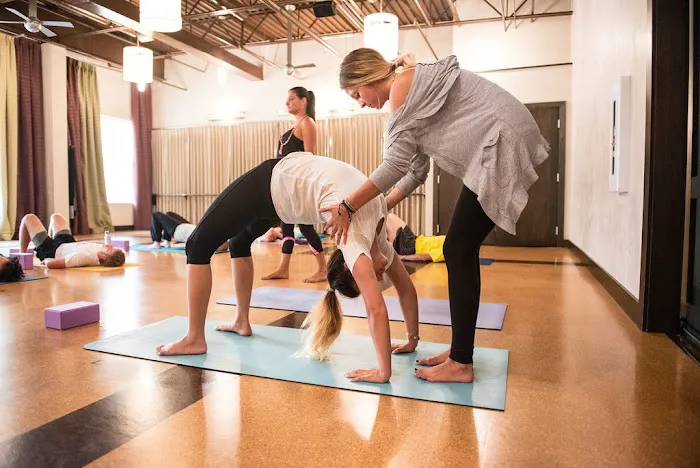Yoga Lounge & Barre Picture 3