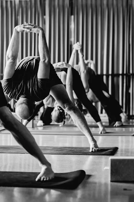 Yoga Lounge & Barre Picture 7