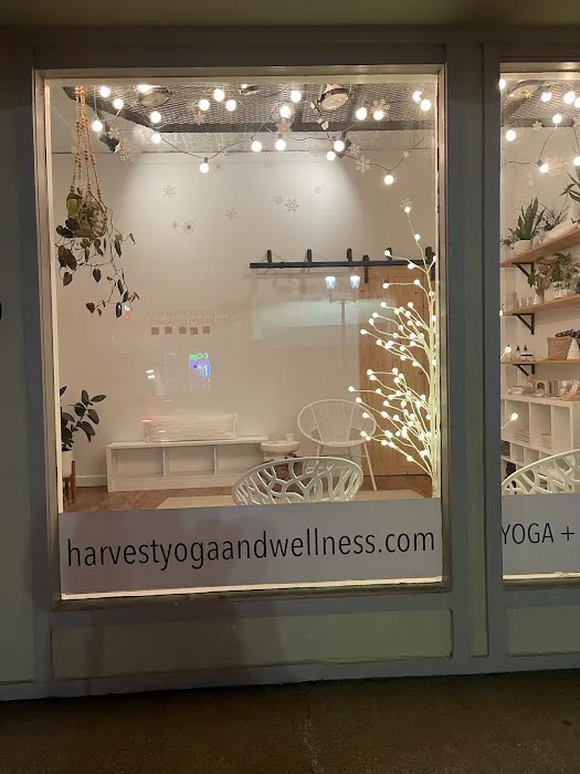 HARVEST yoga + wellness studio Picture 1