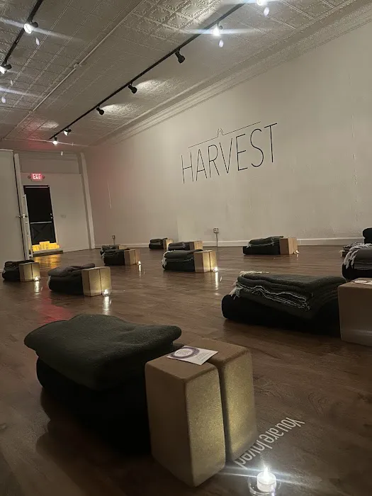 HARVEST yoga + wellness studio Picture 10