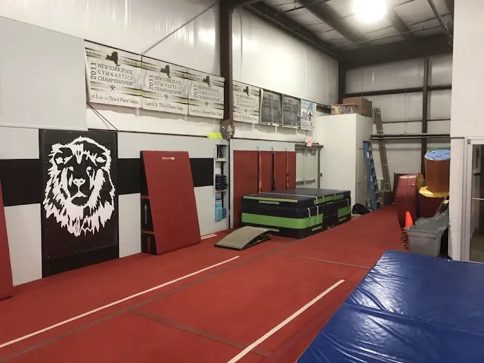 Stumpfs Gymnastic Center Picture 3