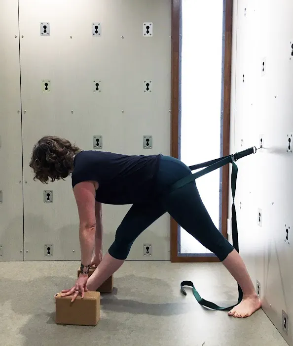 Snyder Square Healing Arts / Art of Adaptive Alignment Yoga Therapy Picture 6