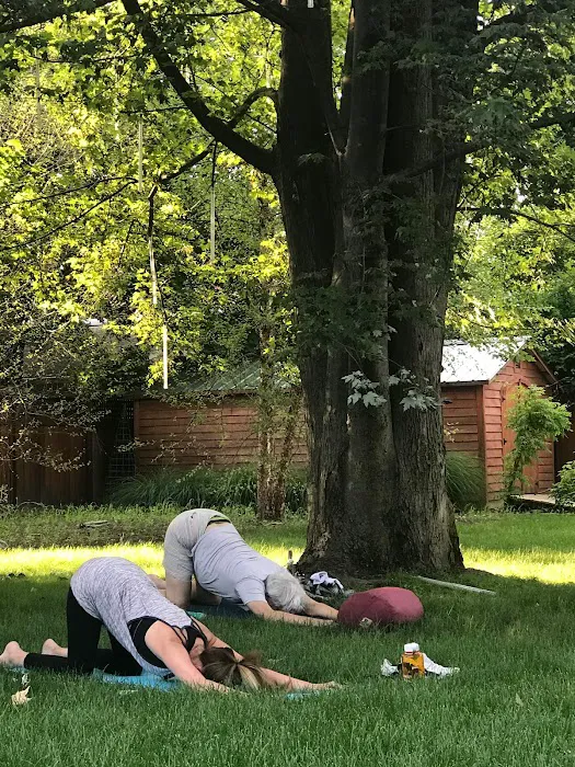 Yoga Parkside Foundation Picture 7