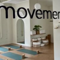 Movement Buffalo ico