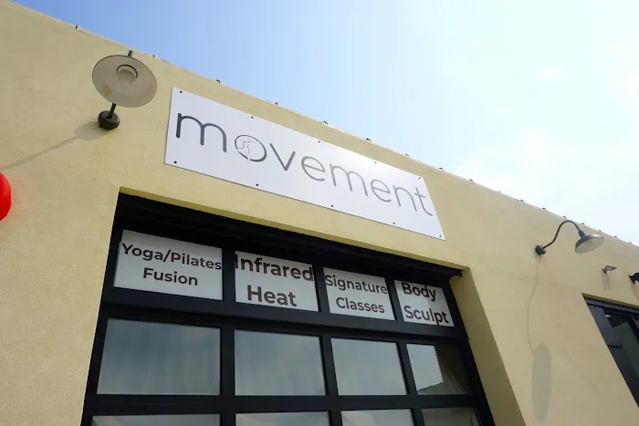 Movement Buffalo Picture 4