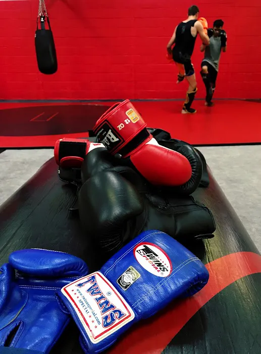 Rochester Muay Thai Picture 3