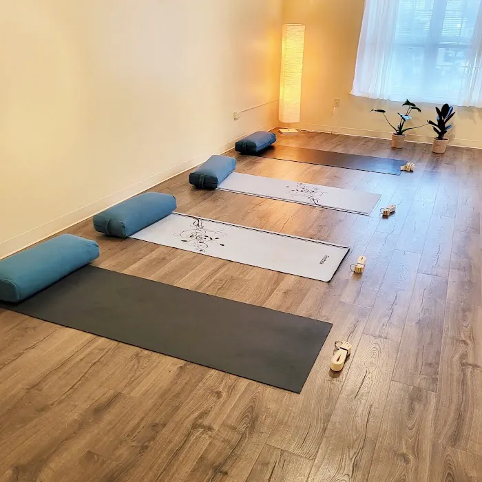 Candace Lee Yoga Picture 4