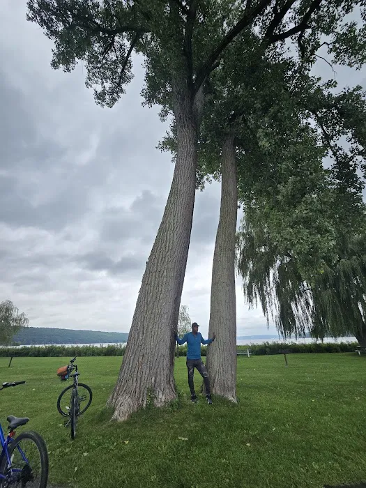 Cayuga Waterfront Outdoor Gym Picture 2