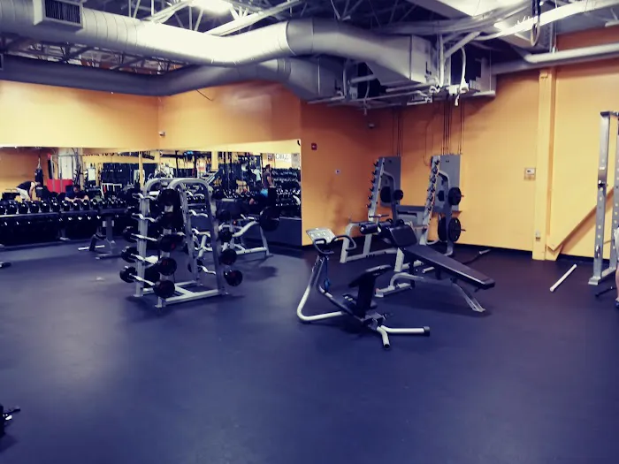 The Zoo Health Club Manchester Picture 3