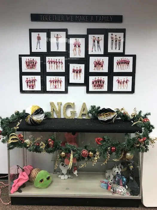Noha's Gymnastics Academy Picture 8