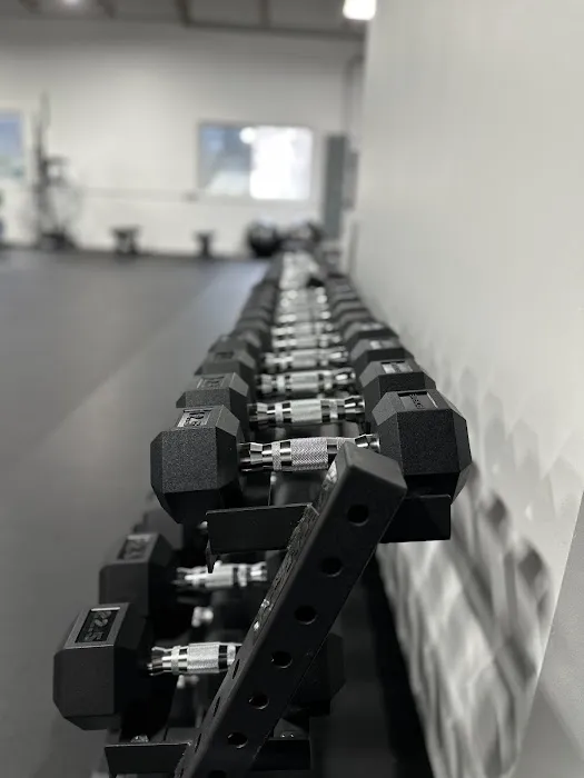 Momentum Health & Performance Picture 2