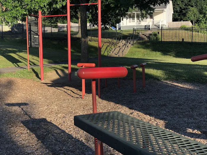 Calisthenics Park Picture 9
