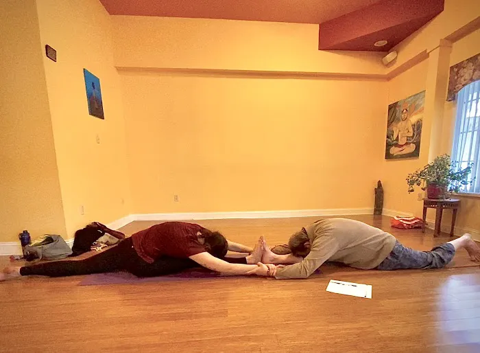 Dhira Yoga Center Picture 3