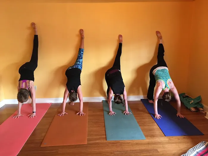 Dhira Yoga Center Picture 1