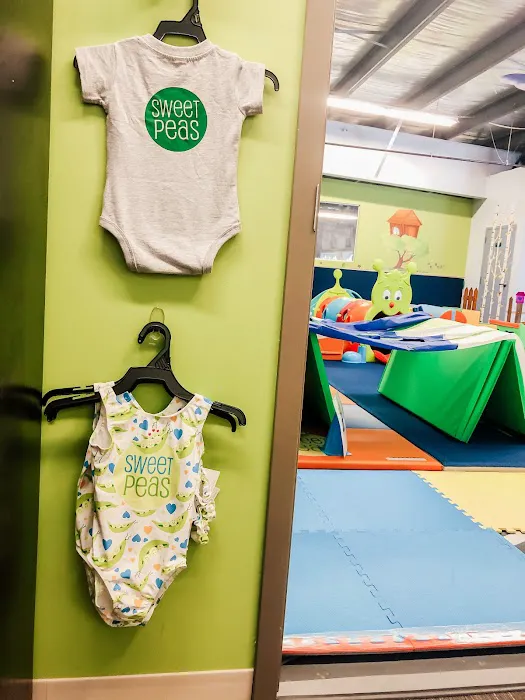 Roots Gymnastics Center - Westfield Picture 6