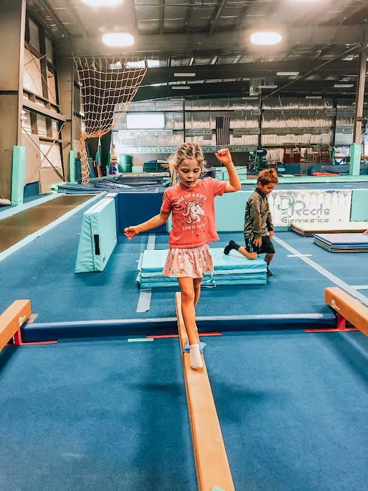 Roots Gymnastics Center - Westfield Picture 3