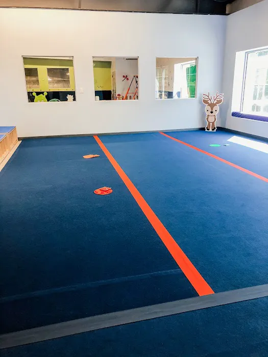 Roots Gymnastics Center - Westfield Picture 9