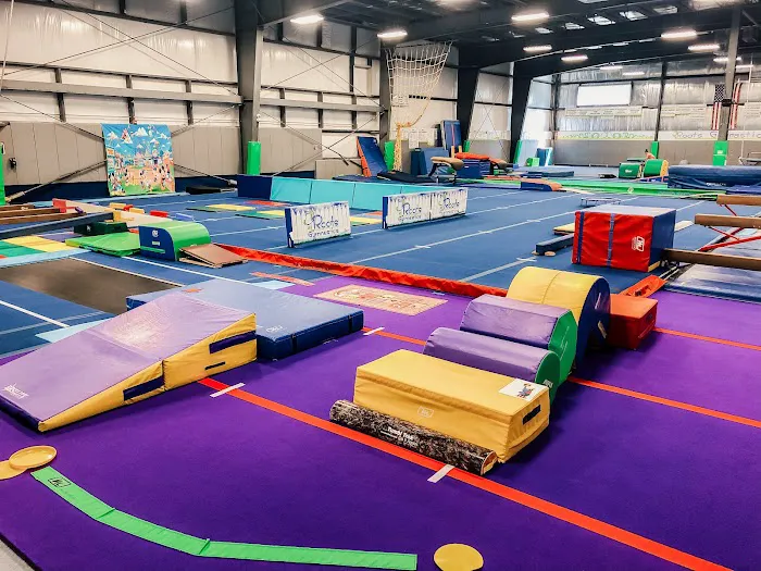 Roots Gymnastics Center - Westfield Picture 2
