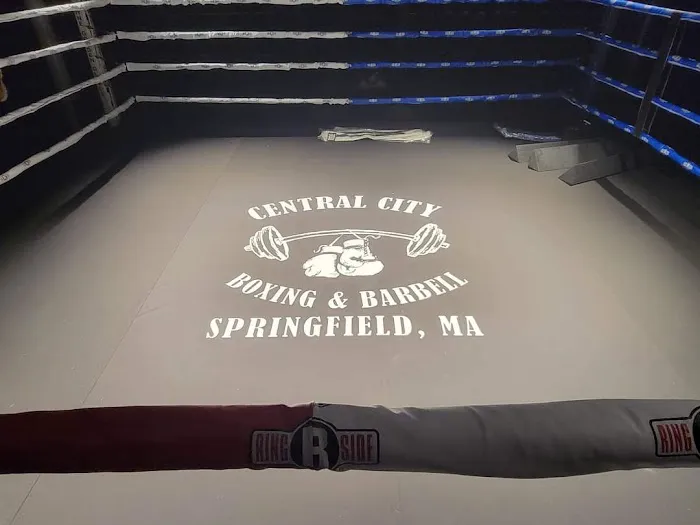 Western New England Golden Gloves Picture 5