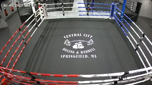 Western New England Golden Gloves Picture 1