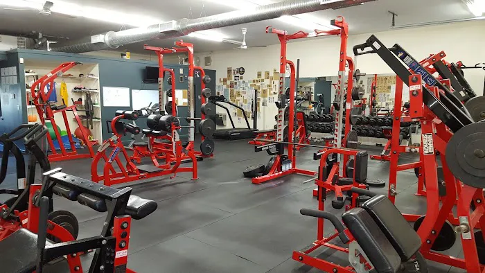 Mangino Strength & Conditioning Picture 5
