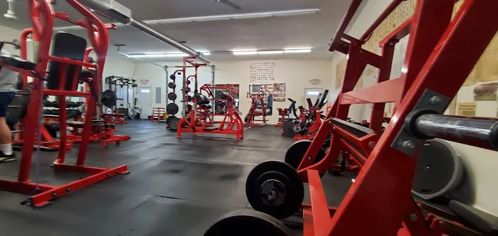 Mangino Strength & Conditioning Picture 6
