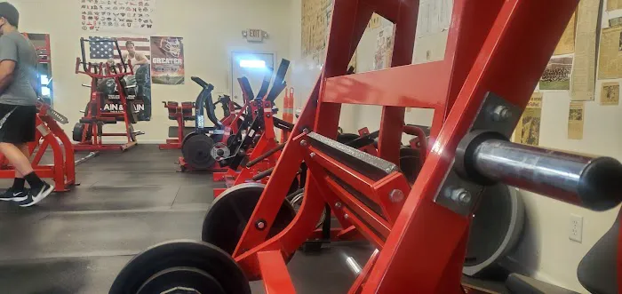 Mangino Strength & Conditioning Picture 2