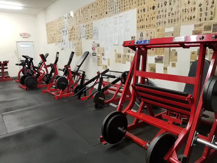 Mangino Strength & Conditioning Picture 8