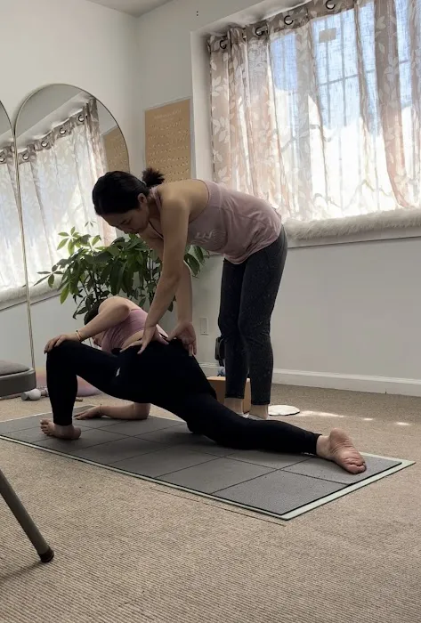 Private Yoga&Pilates Studio Picture 9