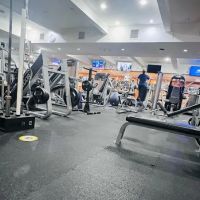 Iron Pump Gym (Flushing) ico