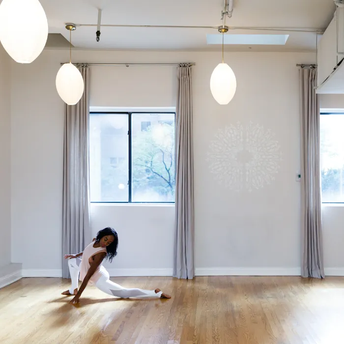 The Yoga Common NYC Picture 10